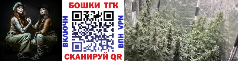 Каннабис планчик Нариманов